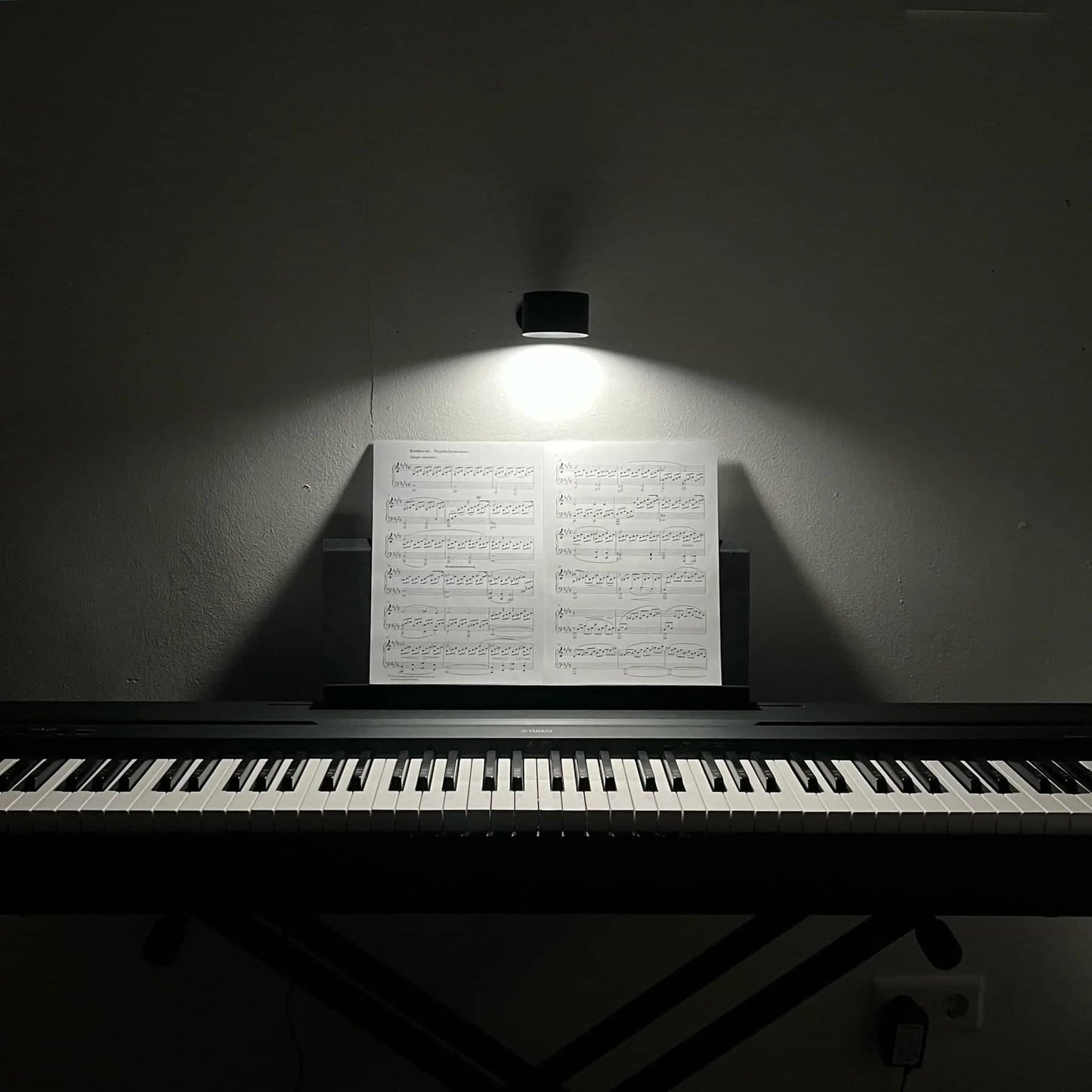 Wall Light